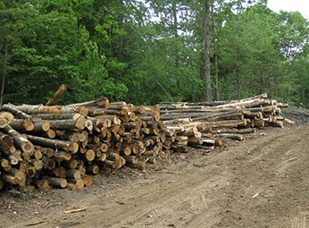 Welcome – Reed's Firewood -- Redefining Firewood in Maine